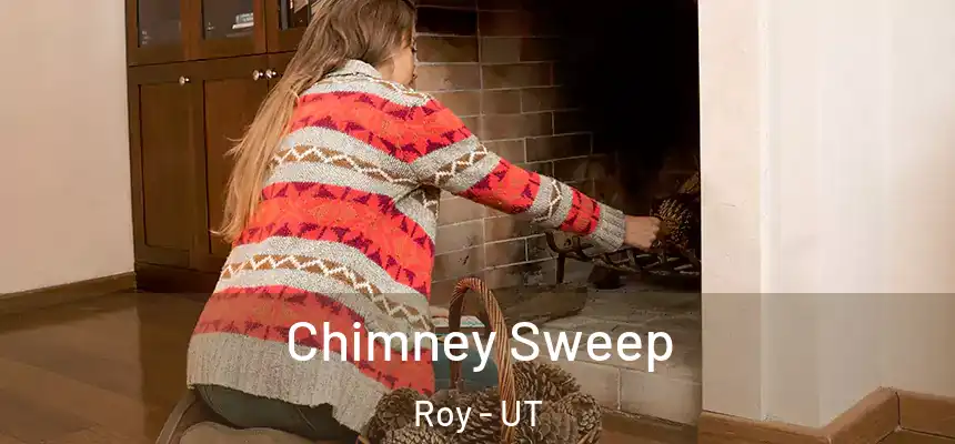  Chimney Sweep Roy - UT