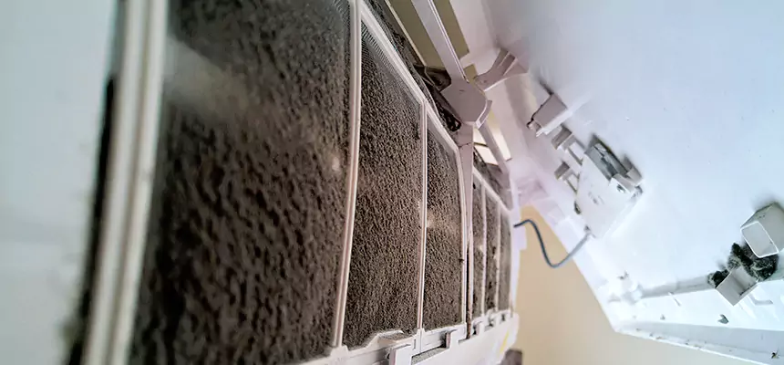 Preventive Air Duct Bacteria Removal in Roy