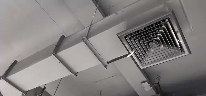 Our Pest Removal From Ducts Services in Roy, UT