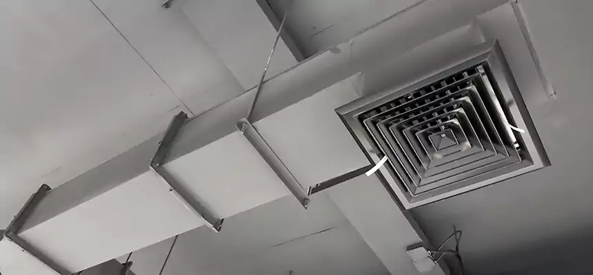 Our Rodent Droppings In Vents Services in Roy, UT