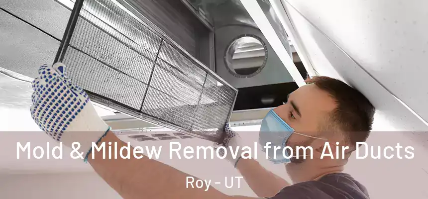  Mold & Mildew Removal from Air Ducts Roy - UT