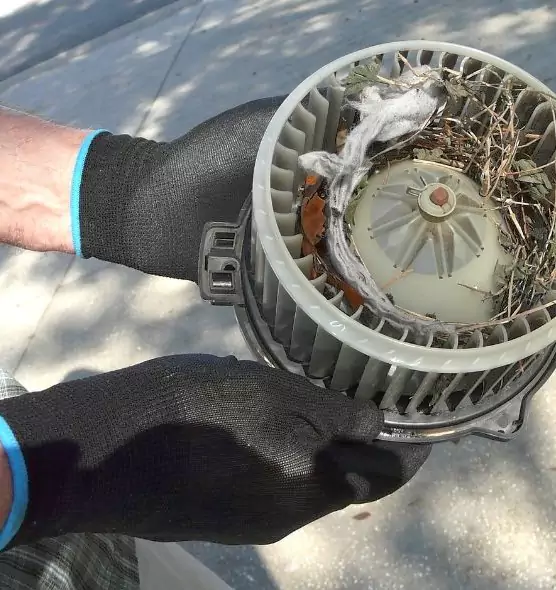 About Air Duct Mice Removal in Roy, UT