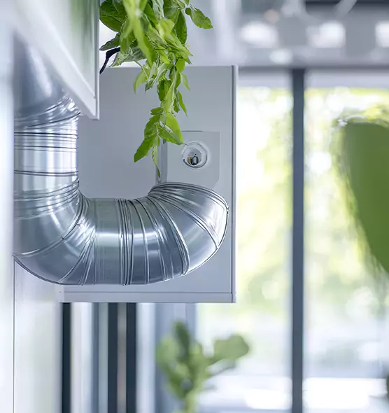 Professional Eco-Friendly Duct Cleaning Services in Roy, UT