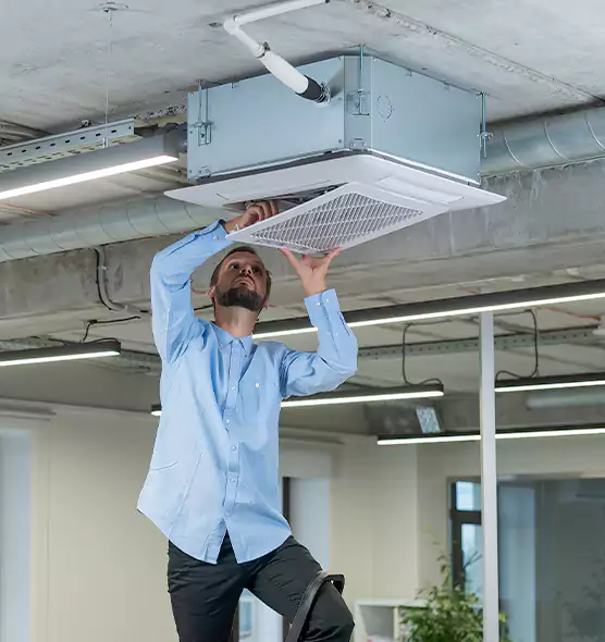 Advanced Rodent Droppings In Vents in Roy, UT