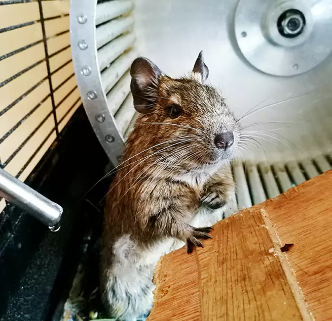 Why Homeowners & Businesses Trust Us Roy, UT