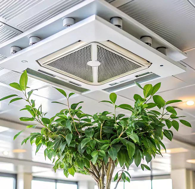 Why Homeowners & Businesses Trust Us in Roy, UT